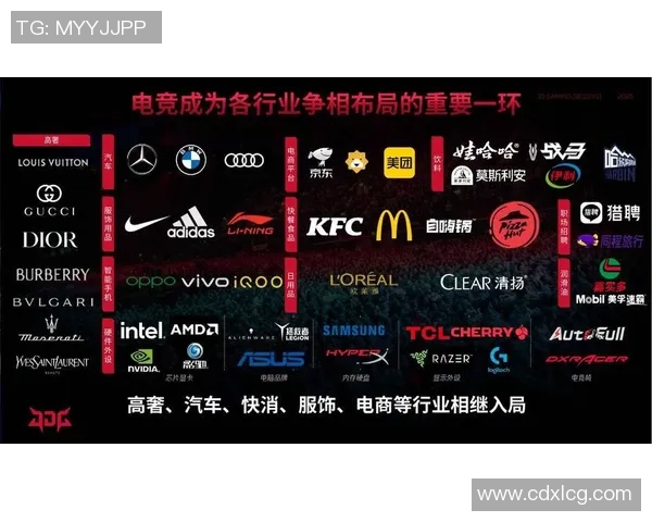 JDG战队中路突破革新解析引领电竞新潮流的深度探讨