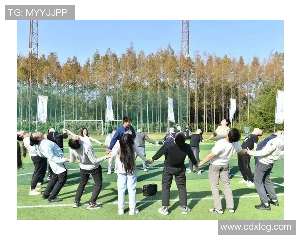 深圳飞盘队的灵活性探秘与战术创新之路