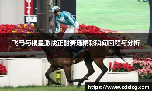 飞马与银星激战正酣赛场精彩瞬间回顾与分析